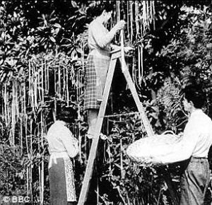 p-p-picking the pasta