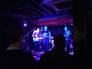 nightingales in full flight