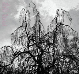 Colin Stetson Sarah Neufeld Never Were the Way She Was