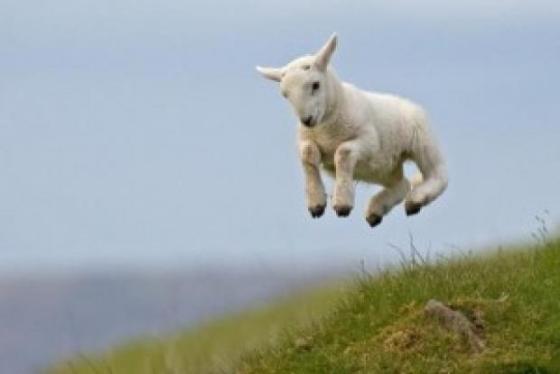 Spring-has-Sprung-e1363798533694